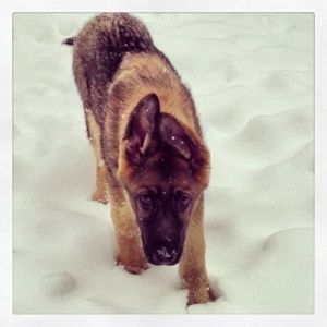 Meet your Posher, Cee